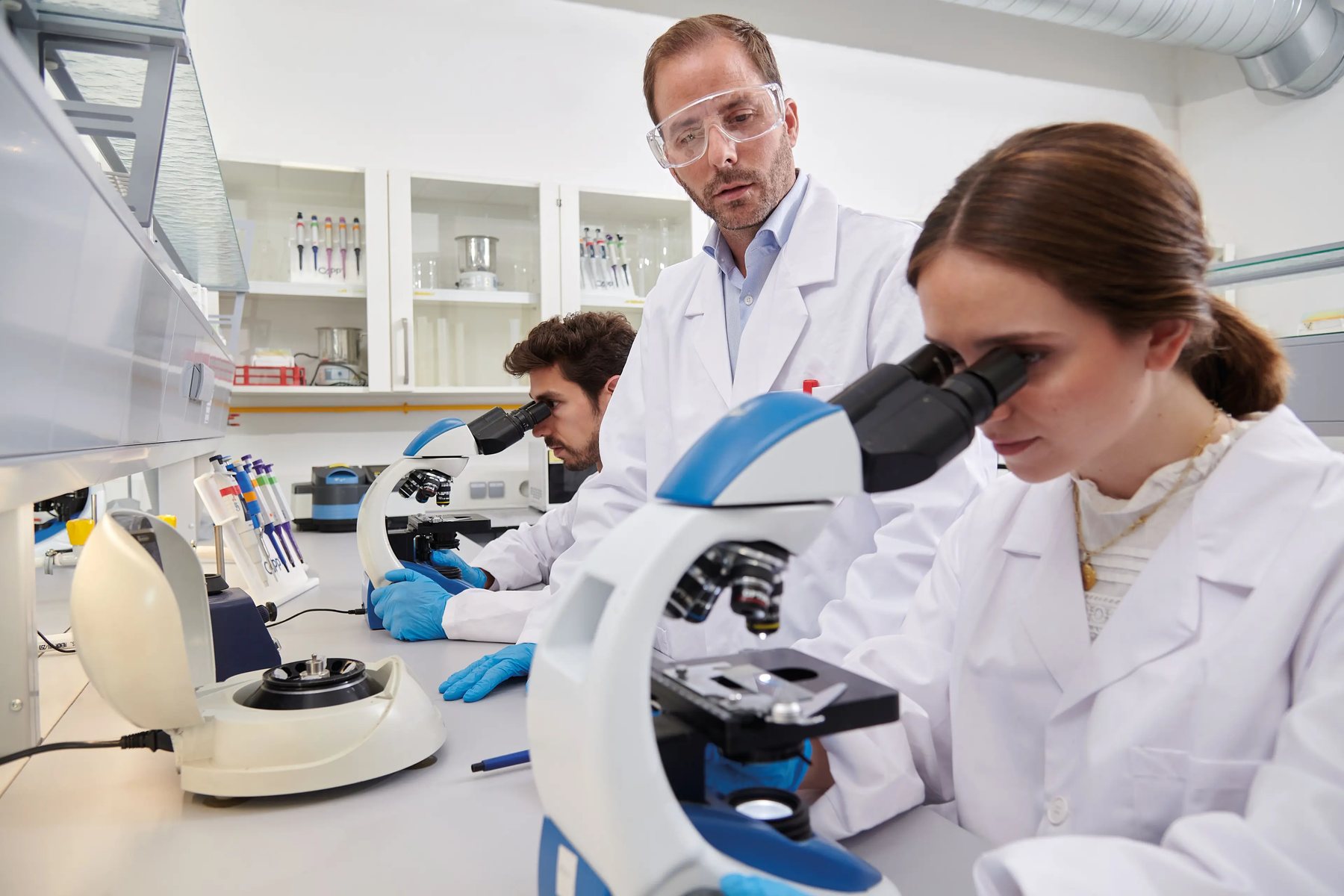 Investigadores de la Red